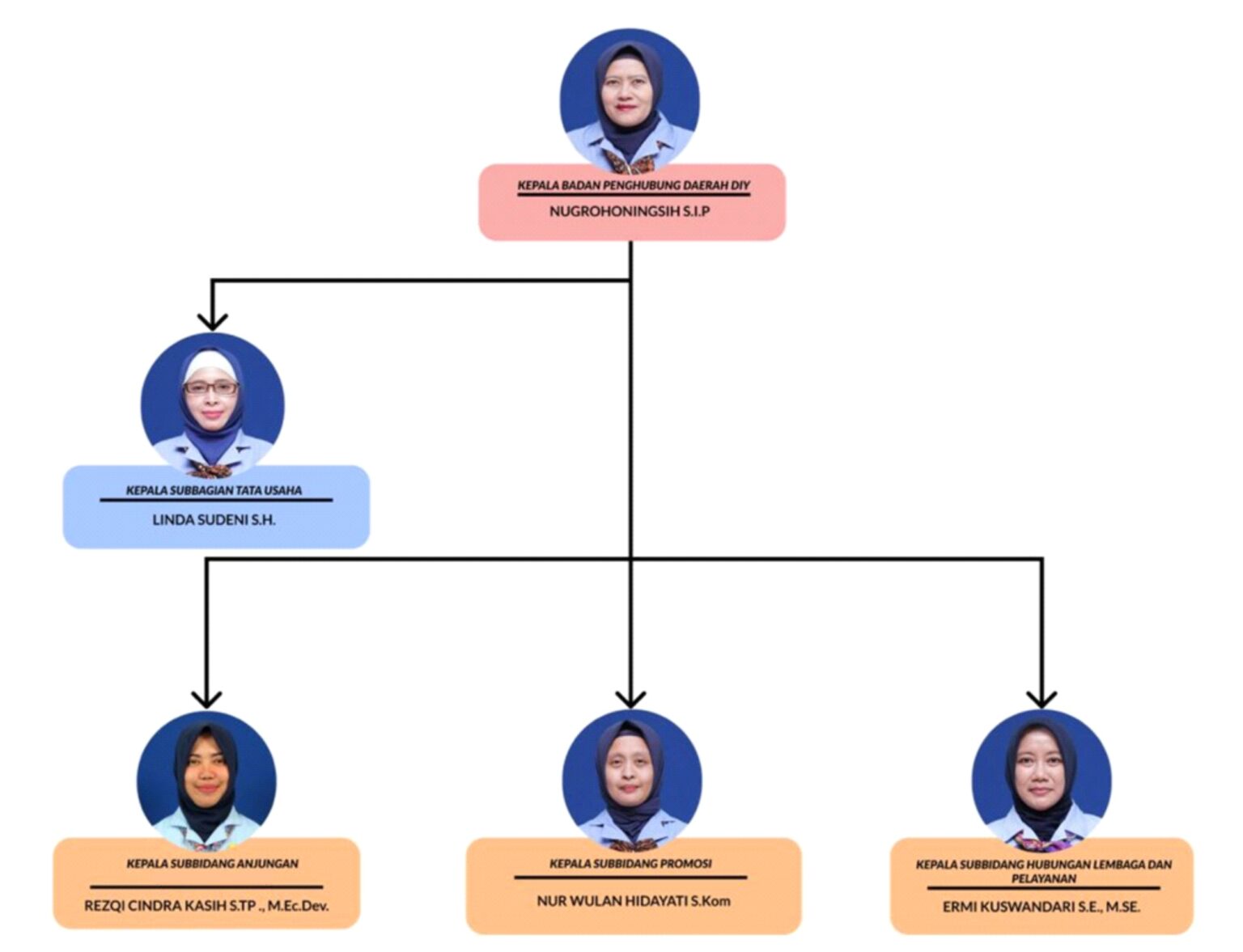 Struktur Organisasi – BADAN PENGHUBUNG DAERAH DAERAH ISTIMEWA YOGYAKARTA